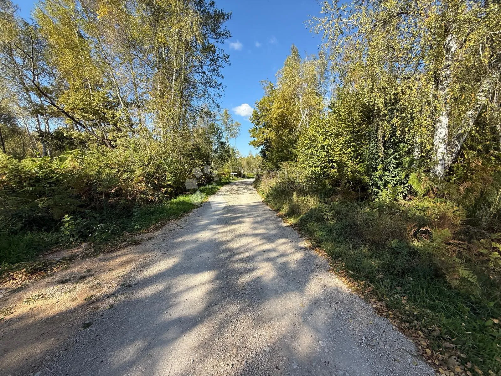 zemlište u netaknutoj prirodi - veliki žitnik (gospić) prilika - slika 2