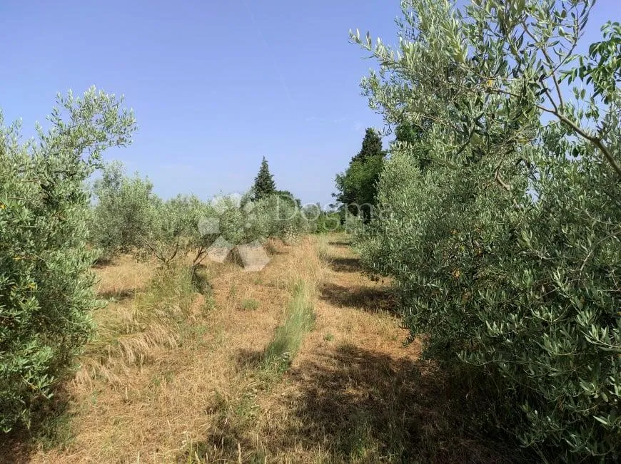 prekrasna stancija u okolici pule, s 10000 m² urbaniziranog zemljišta - slika 36