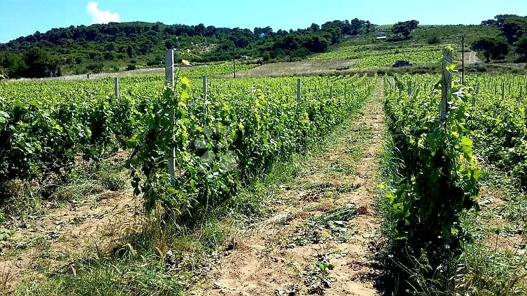 otok vis - izniman posjed s kamenom starinom za adaptaciju ! - slika 21