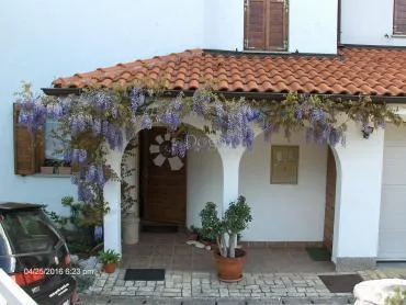samostojeća kuća u kostreni - slika 26