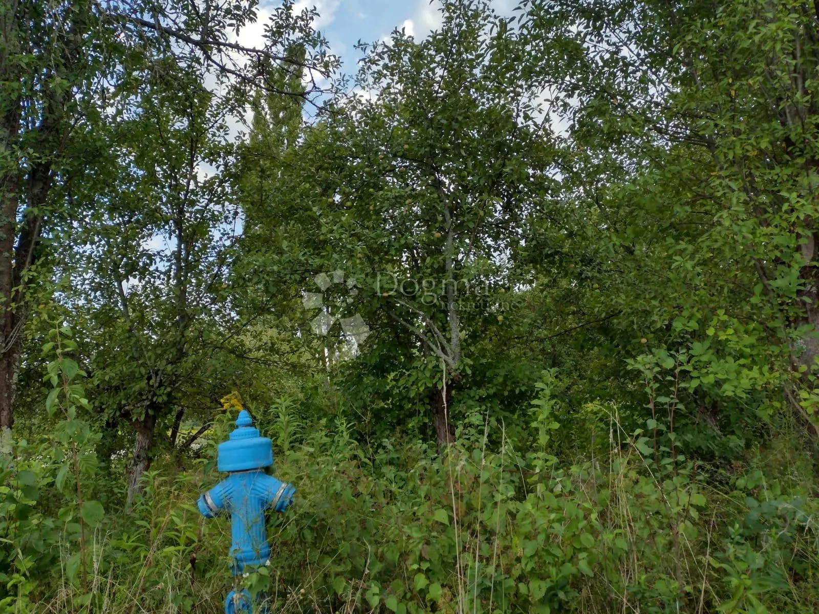 topusko, staro selo - puno građevinskog zemljišta - slika 15