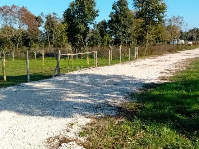 poljoprivredno zemljište s maslinikom i vinogradom u okolici rovinja 7.267m2 - slika 2