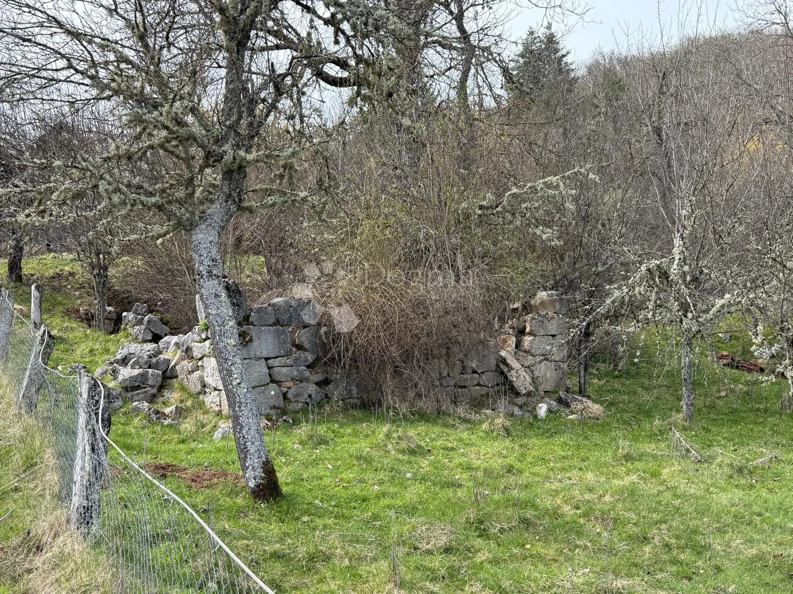 zemljište pod šumom blizu jezera kruščica - slika 2