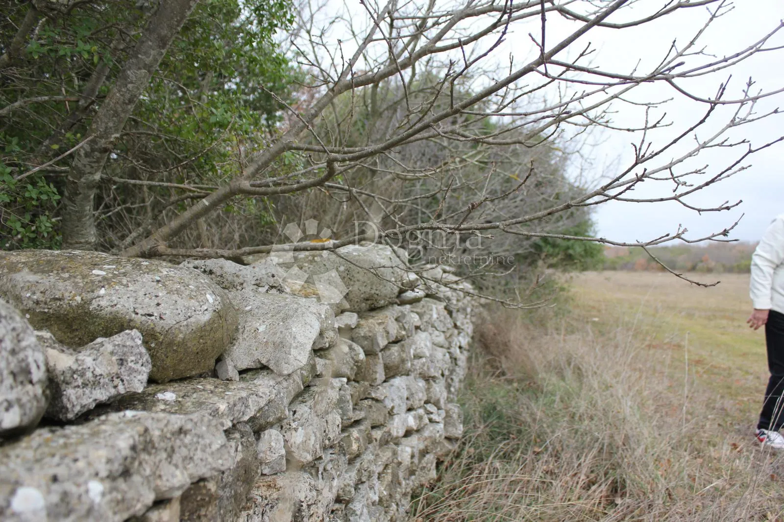 zemljište u zelenilu - slika 3