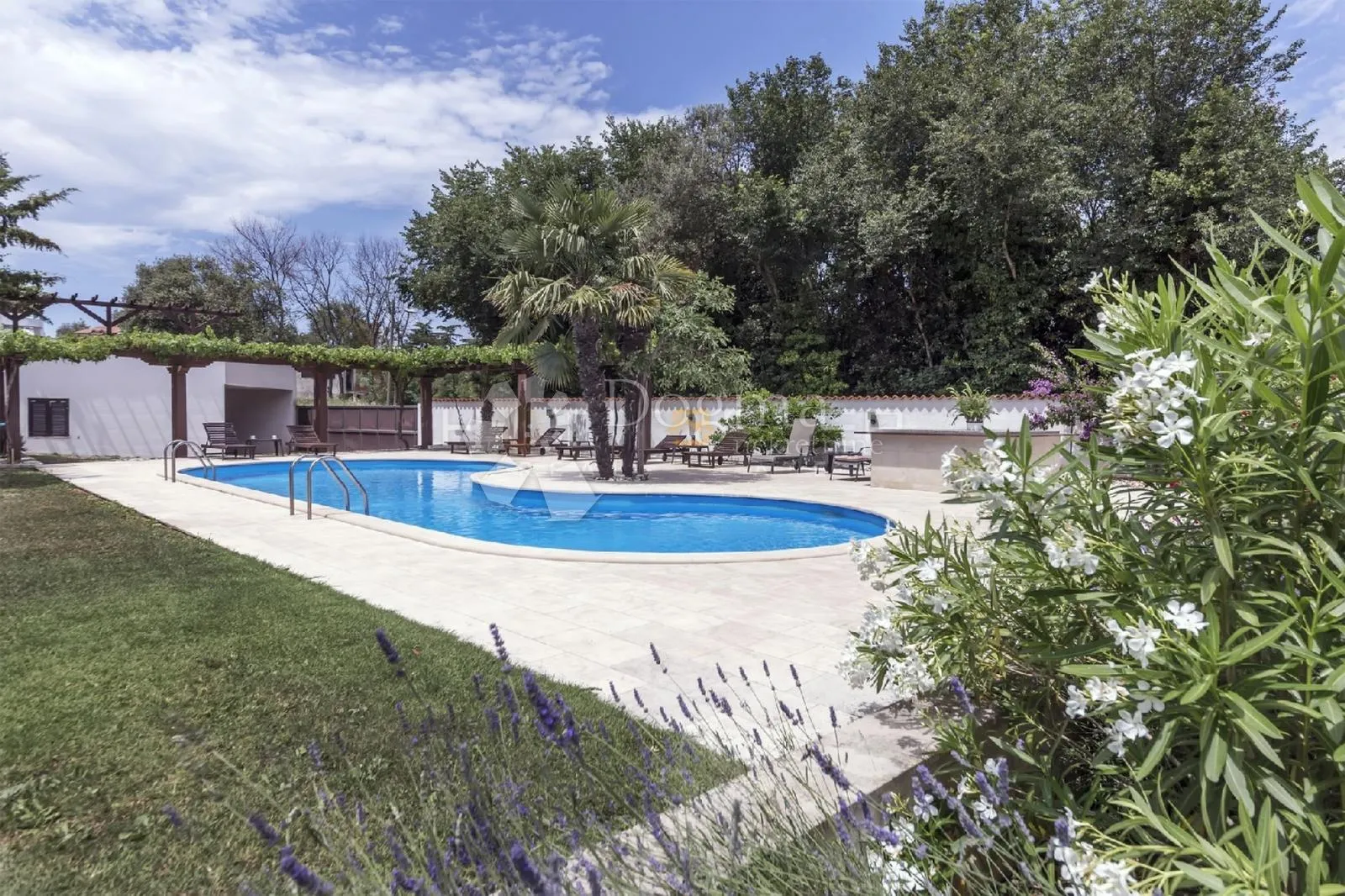 banjole 6 apartmana - 150m od mora - slika 3