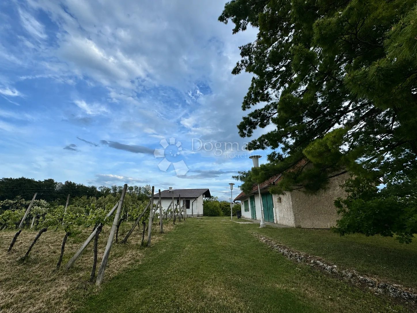privatno imanje s vinogradima i pogledom na varaždin - slika 12