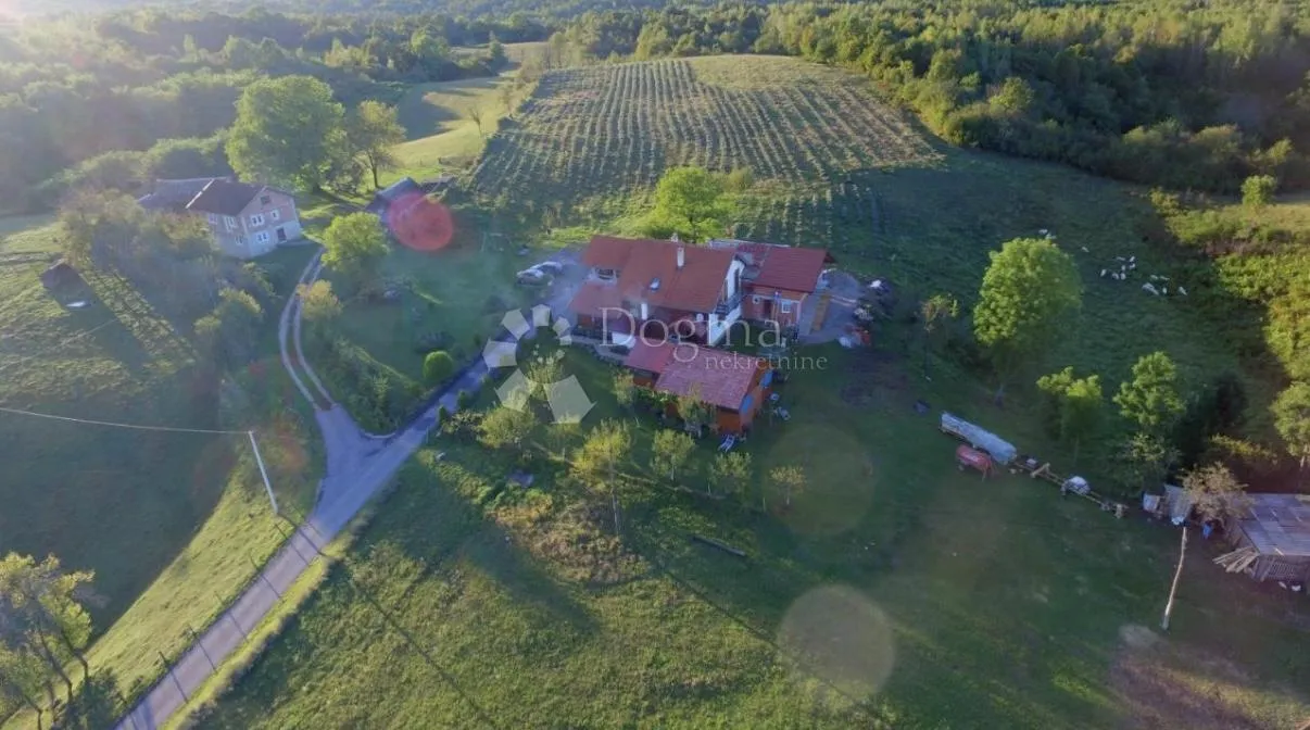 imanje kuće pomoćni objekti i zemlja 10000 m2 - slika 58