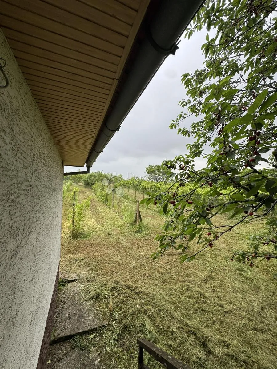 klijet s vinogradom na brežuljcima bilogore - slika 6