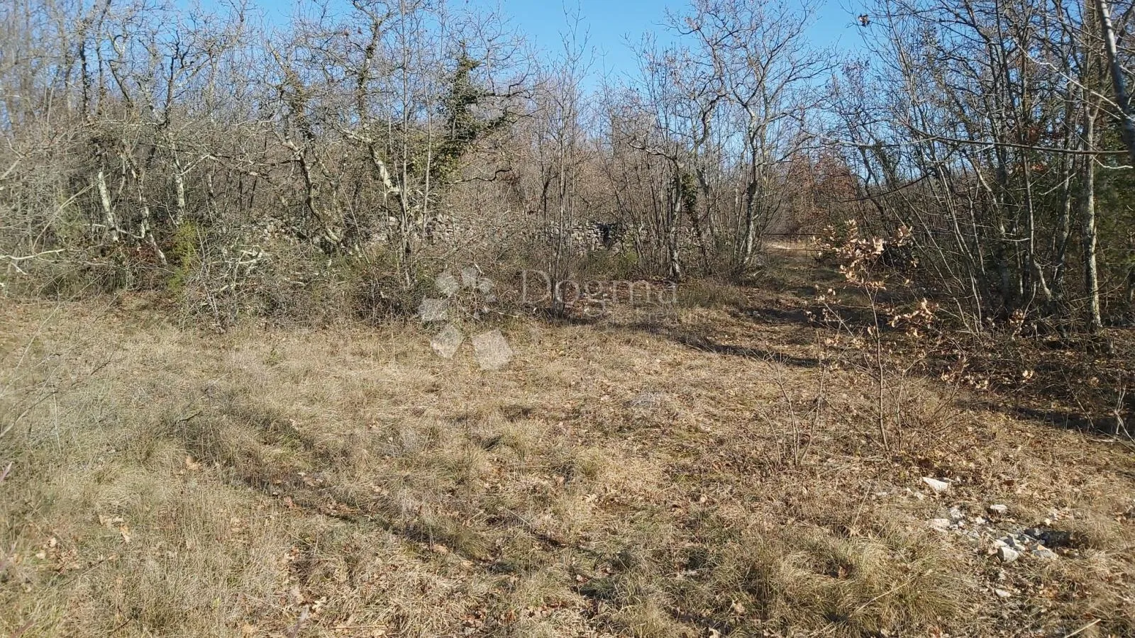 poljoprivredno zemljište šajini - slika 7