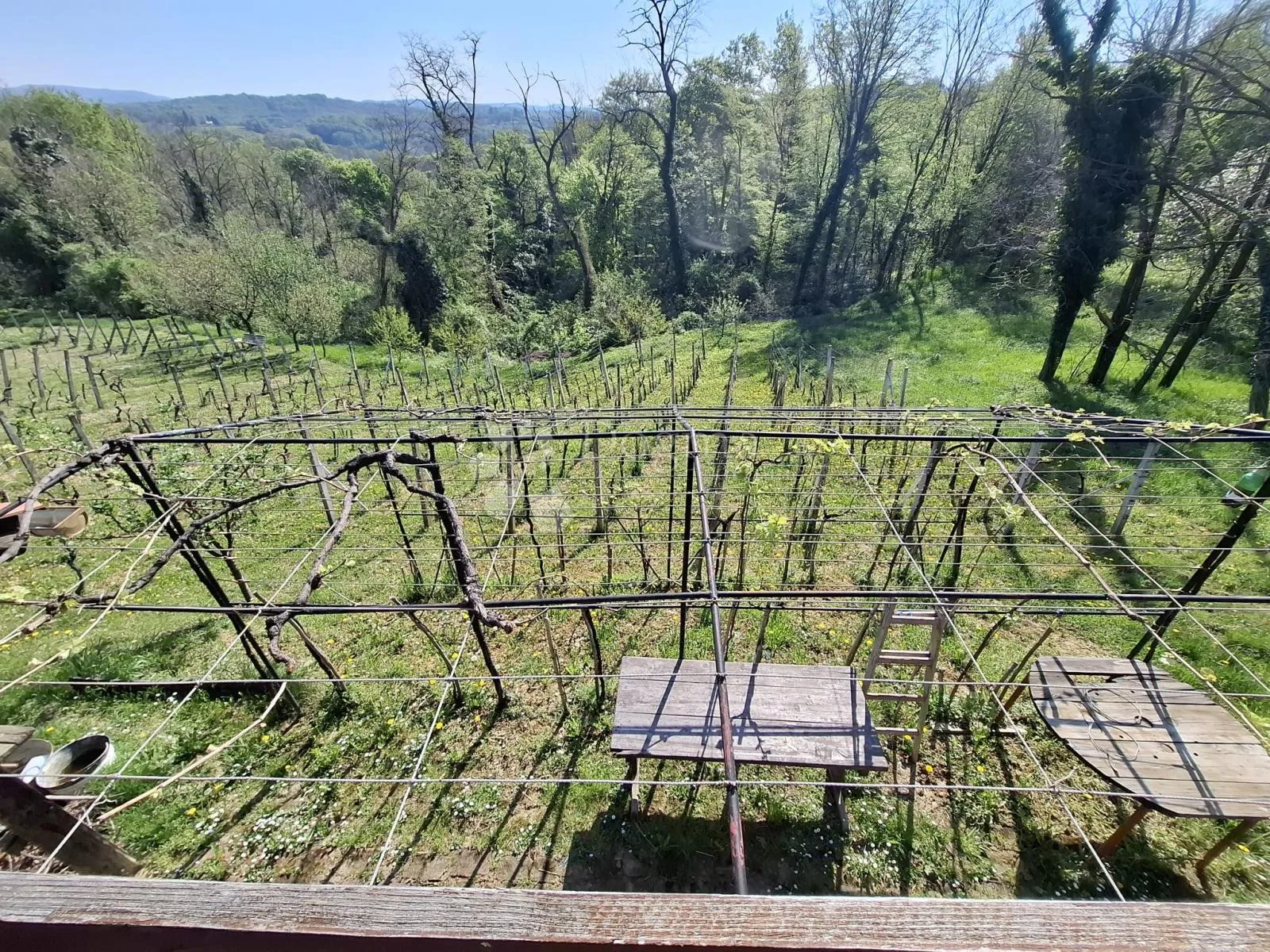 stražinec – klet s vinogradom, voćnjakom, površine 1.200 m² - slika 5