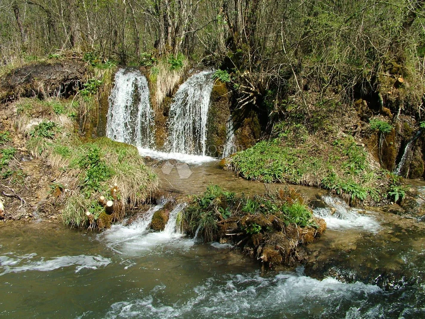 oaza u parku prirode - slika 3