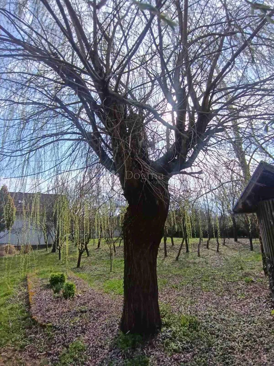 imanje s dva jezera i kućama na 23.755 m²! - slika 29