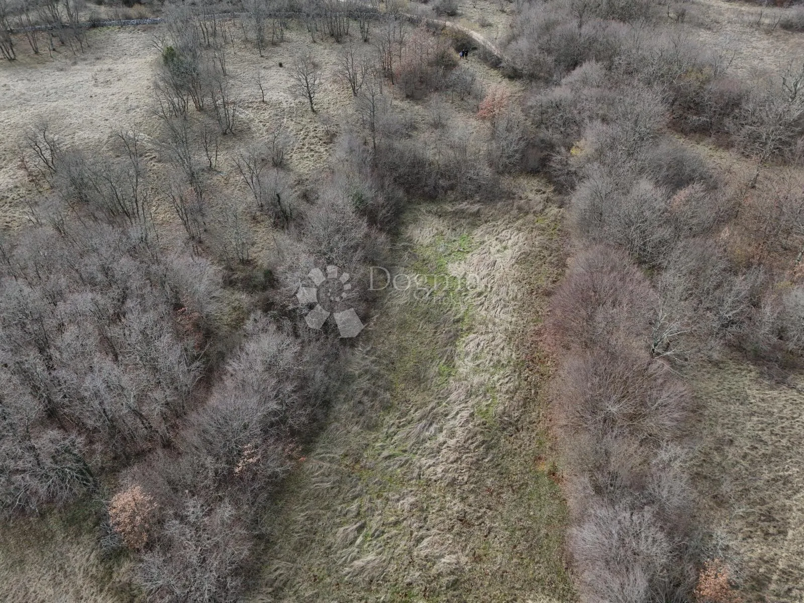 izvor hrane i života za budućnost , u manjadvorcima, 6700m2-poljoprivredno zemljište - slika 2