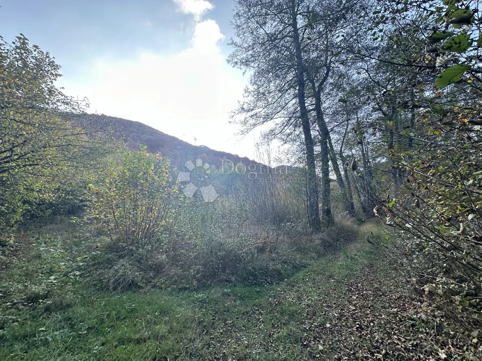 brušane 7300 m2 - turistička namjena - slika 4