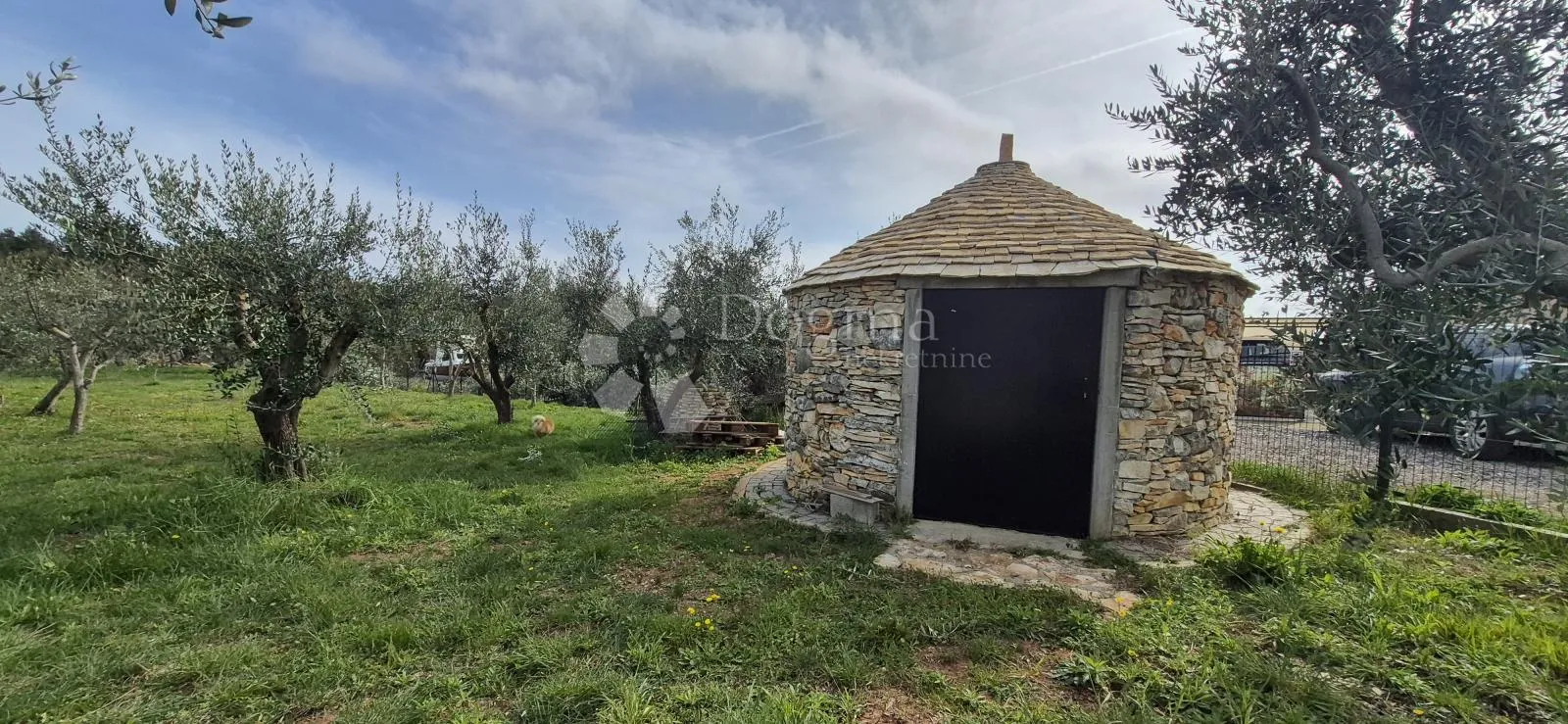 maslinik sa kamenim kažunom površine 15 m2, 1,5 km od mora - slika 8