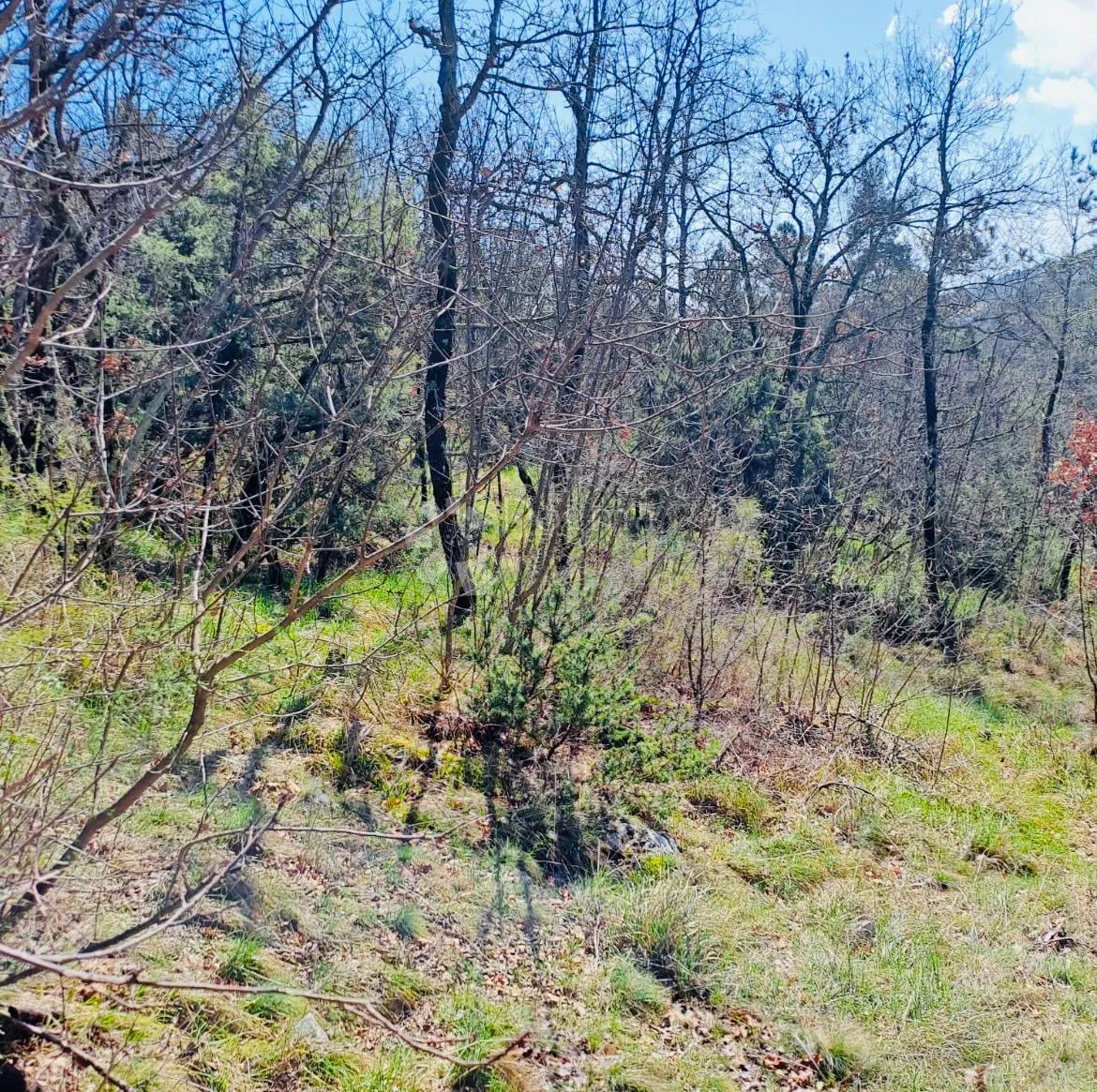 poljoprivredno zemljište – 7.399 m² – kalac,prodaja! - slika 1