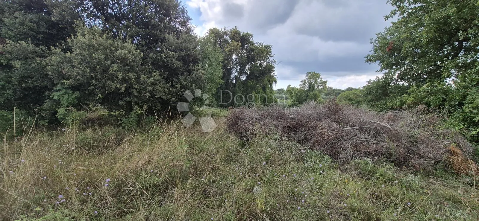 prodaje se poljoprivredno zemljište - kavran 1173 m2 - slika 10