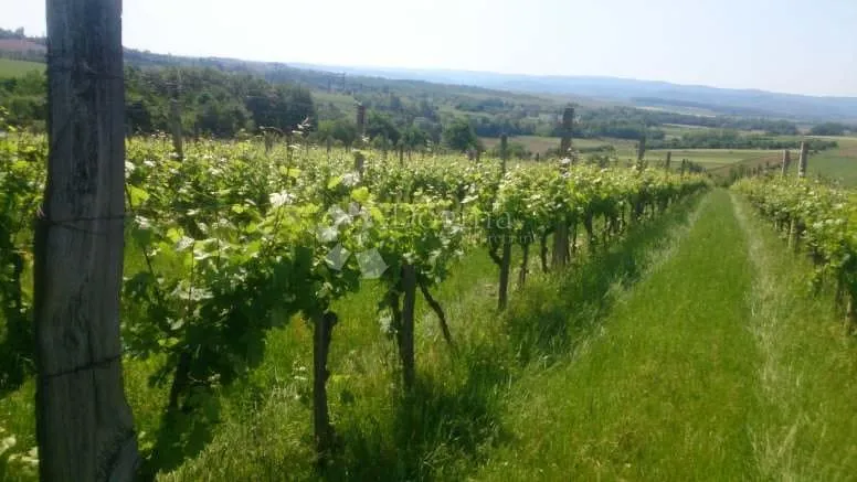 kutjevo - bajkovito imanje velikog potencijala - slika 3