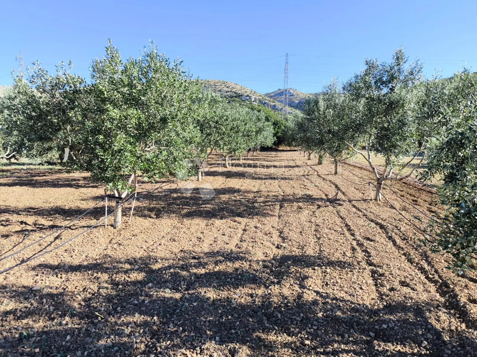 zemljište s otvorenim pogledom na more - trogir - slika 3