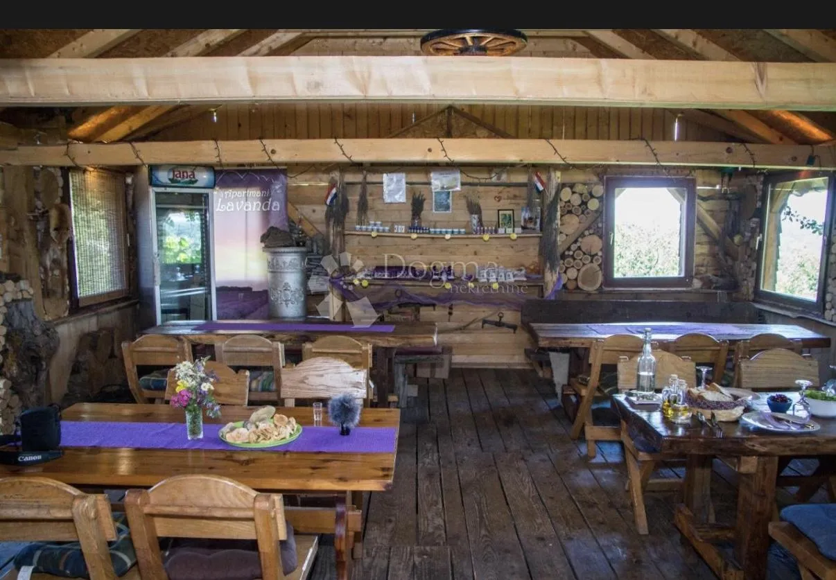 imanje kuće pomoćni objekti i zemlja 10000 m2 - slika 35