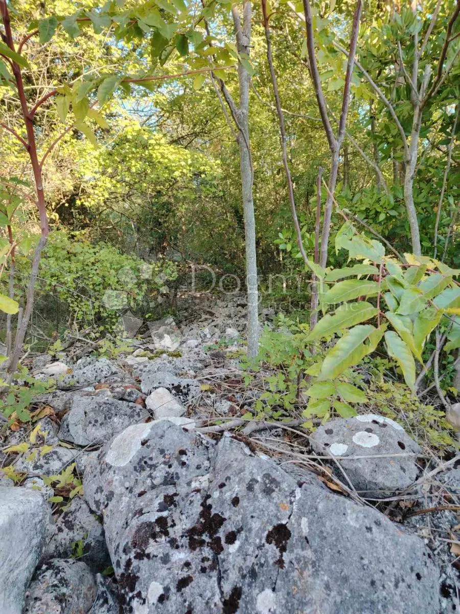 poljoprivredno zemljište kras - slika 2