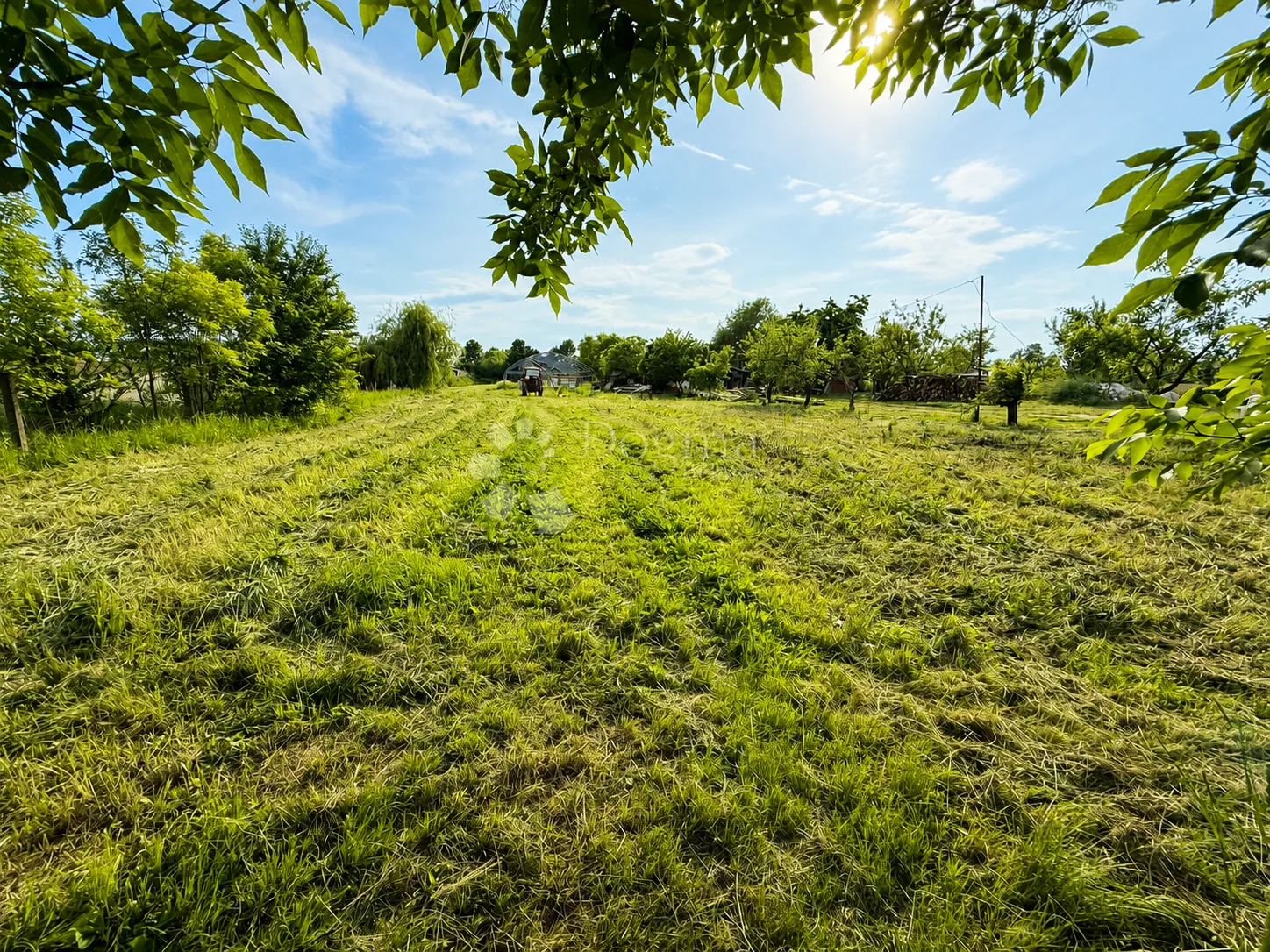oranica 2.315 m² – satnica đakovačka - slika 3