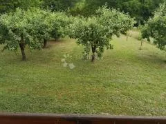 bektež - vinograd s vikendicom u blizini ribnjaka - slika 9