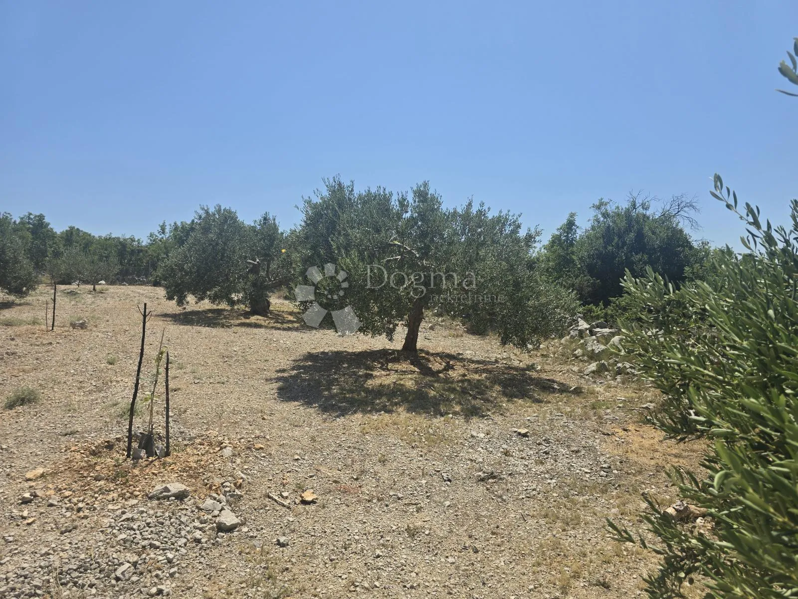 primošten, vadalj - građevinsko zemljište 1256 m² - slika 2