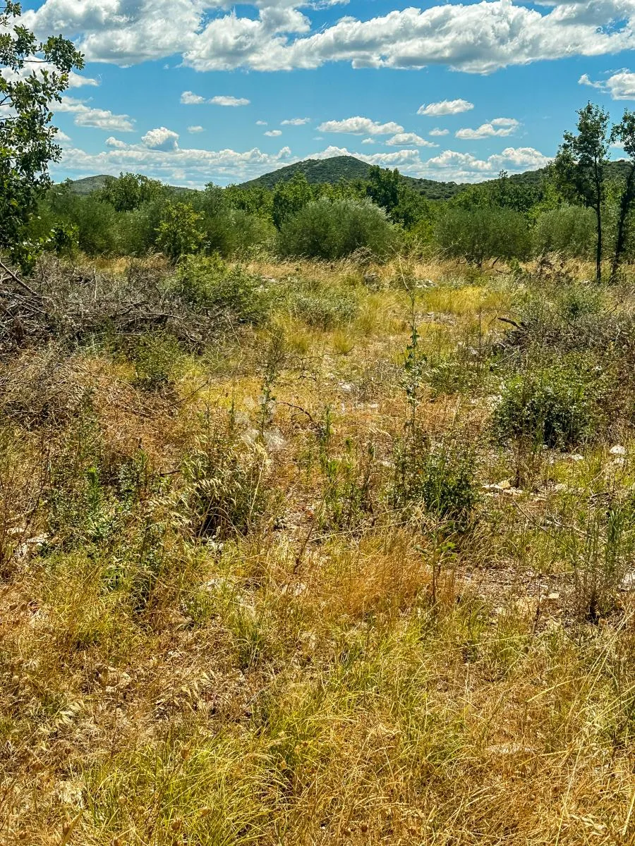 polača, biograd n/m, atraktivno građevinsko zemljište 906 m2 - slika 2