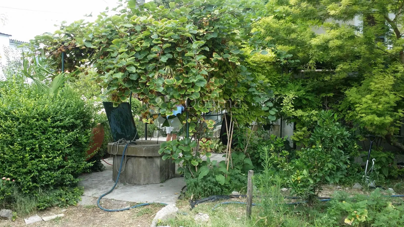 samostojeća kuća s velikom okućnicom – kaštel štafilić - slika 36