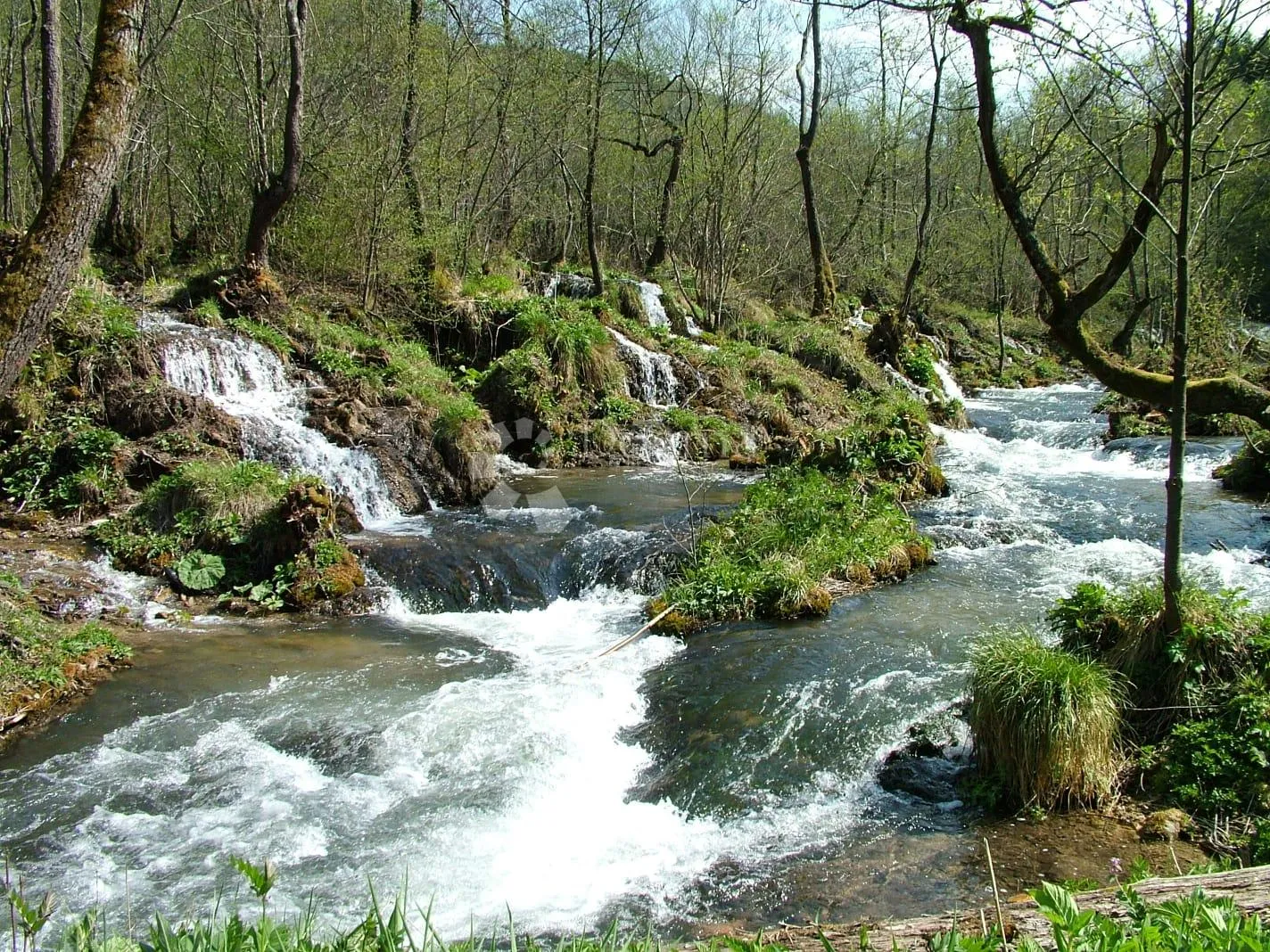 oaza u parku prirode - slika 2