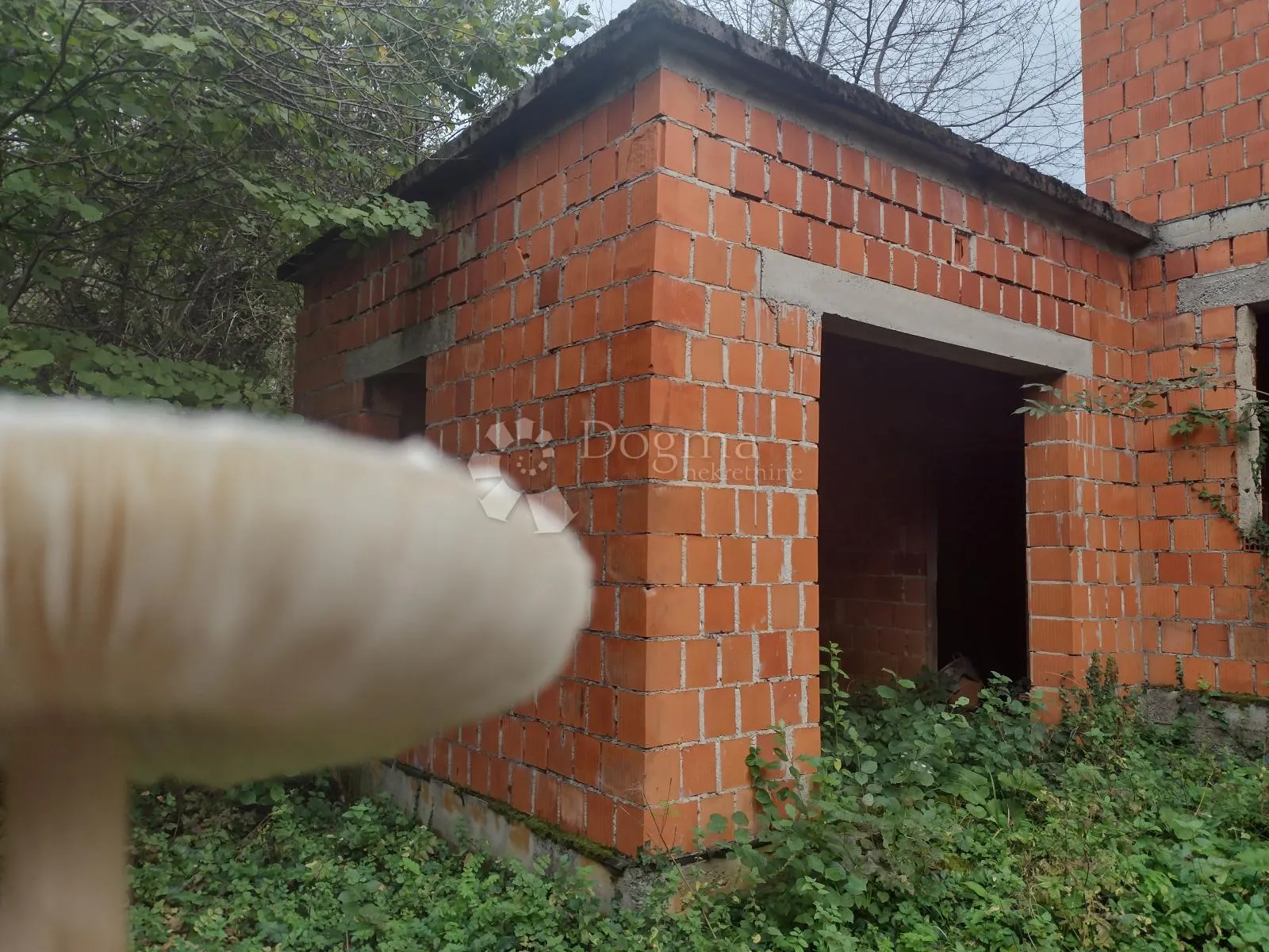 uredno vlasništvo, 1,8ha - slika 2
