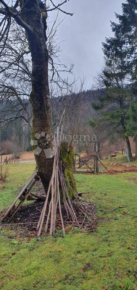 zemljište gorski kotar 10600m2 - slika 6