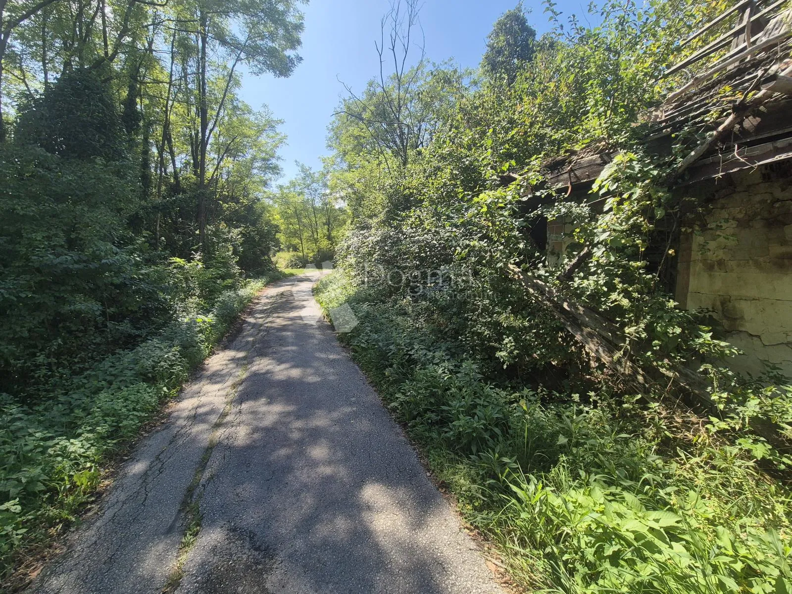 kuća za rušenje na mirnoj lokaciji sa 1.334m² građevinskog zemljišta! - slika 2