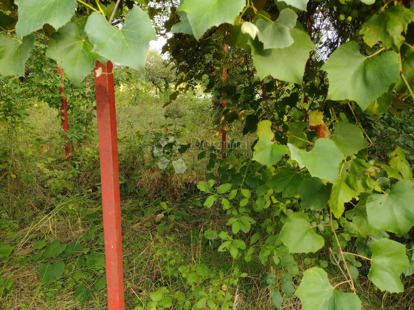 topusko, staro selo - puno građevinskog zemljišta - slika 16