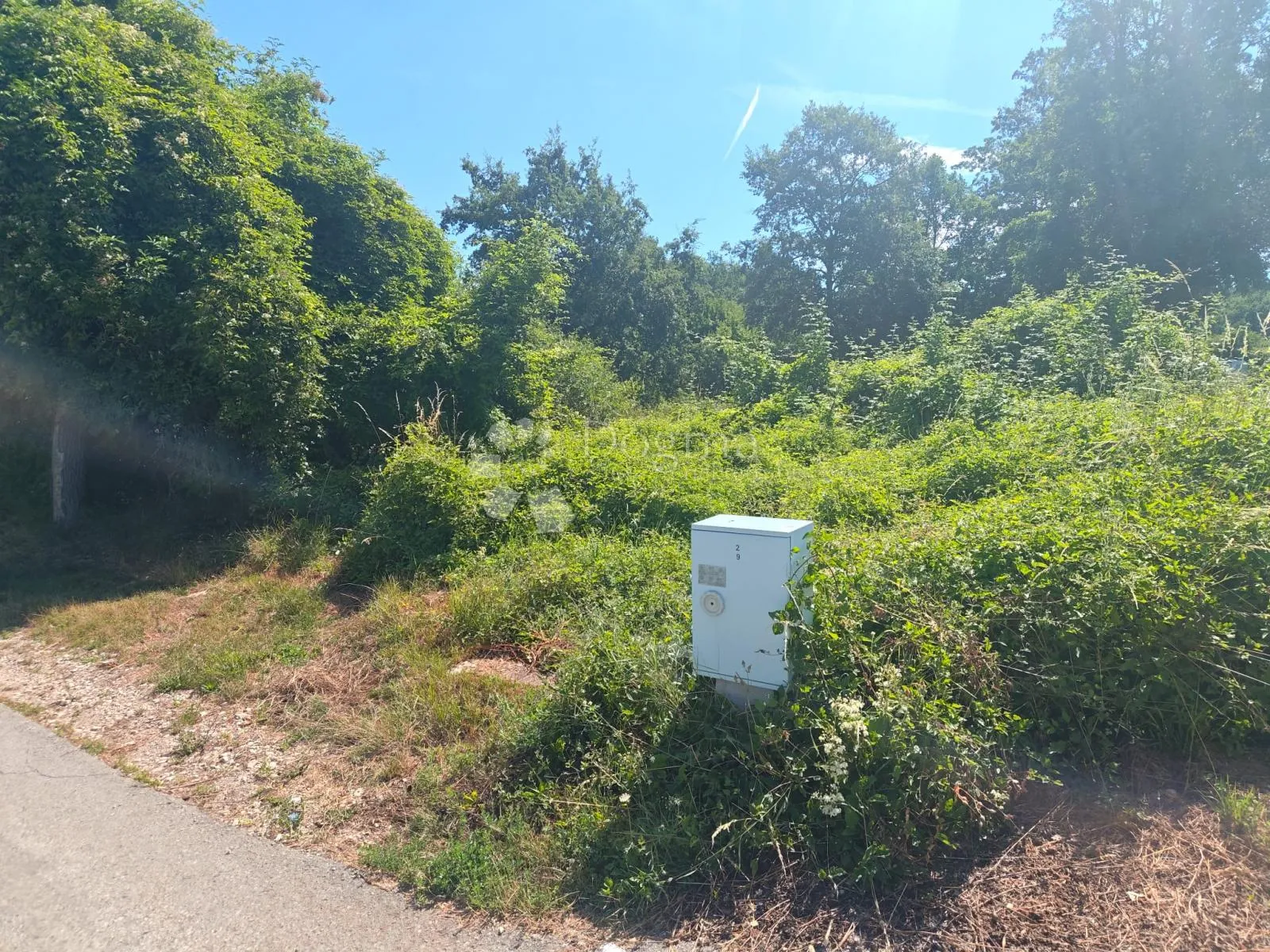 građevinsko zemljište s infrastrukturom, 2290 m² okolica pazina - slika 6