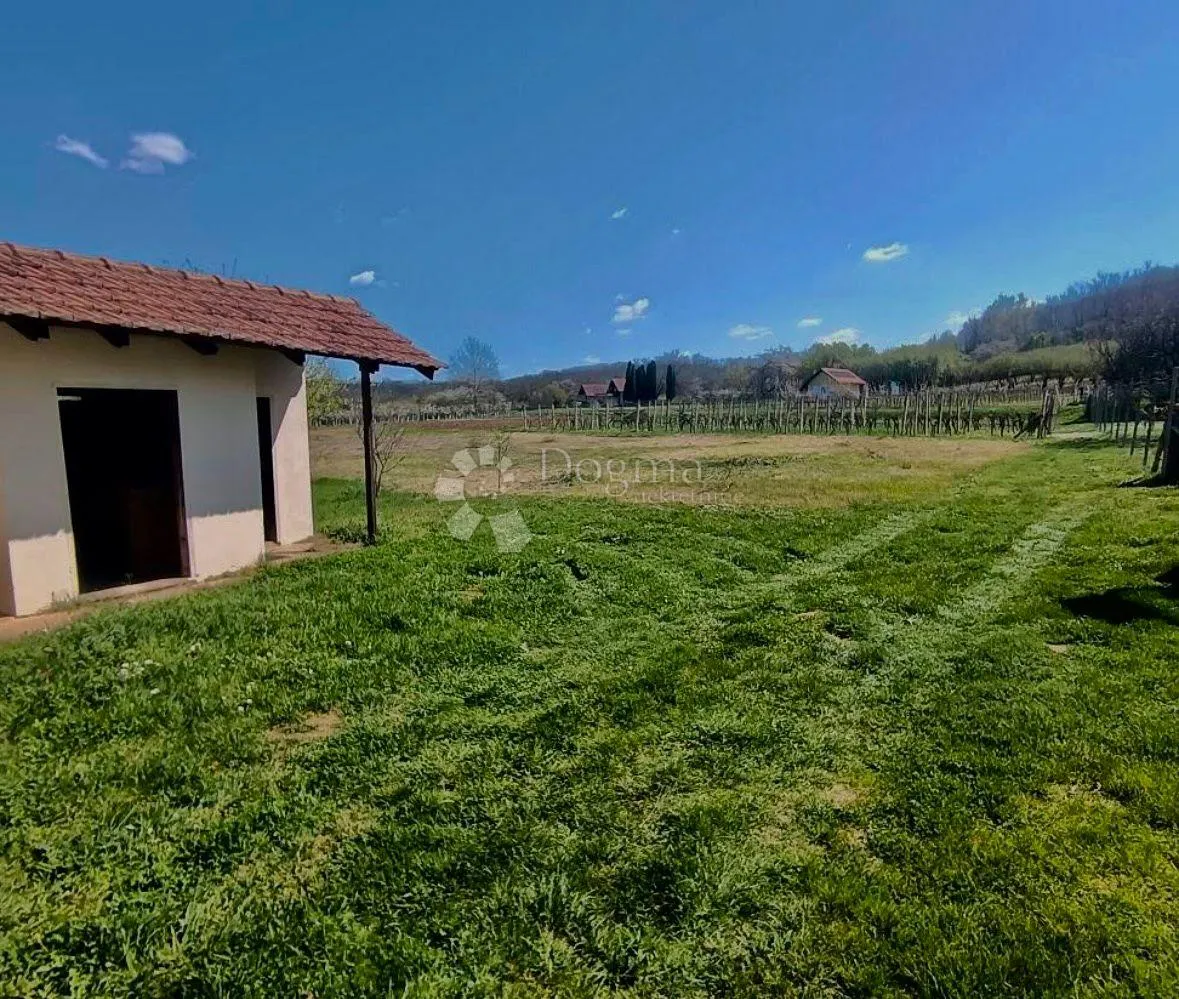 ekskluzivna vikendica s vinogradom - slika 6