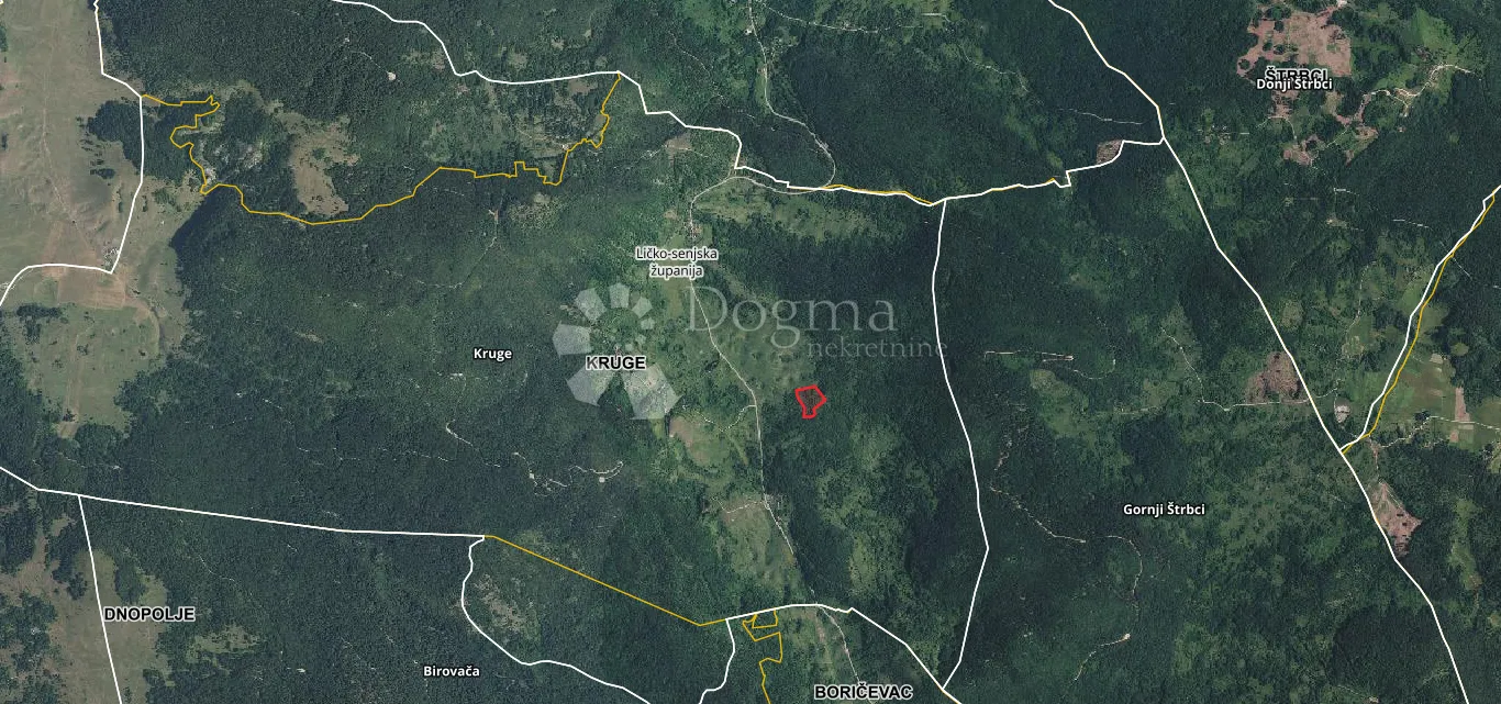 komad raja u lici - slika 2