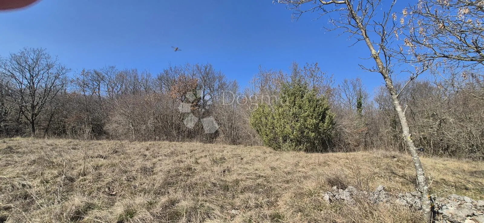 poljoprivredno zemljište površine 7962 m2 - slika 17