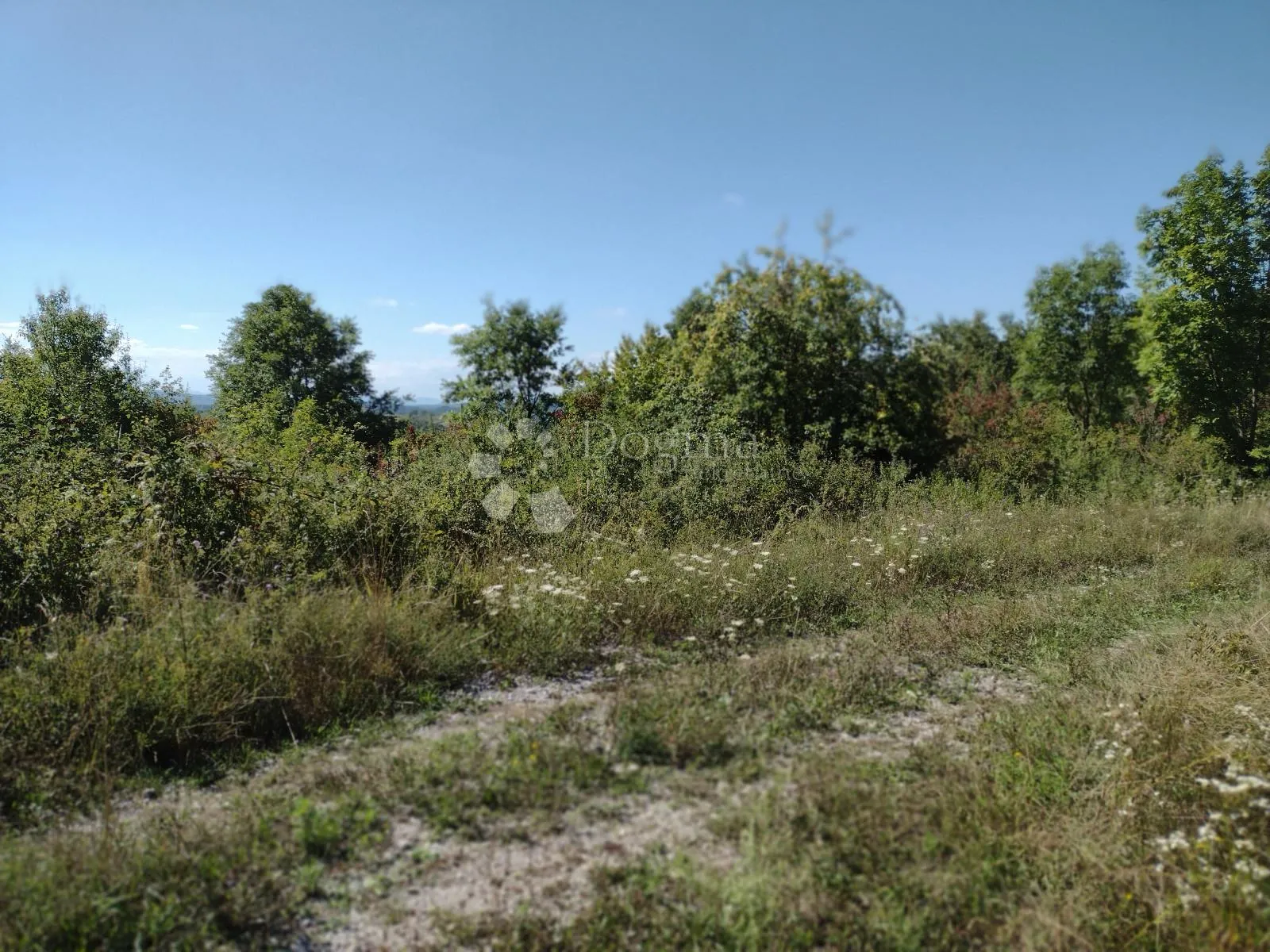 30ha u komadu - rijetkost - slika 6