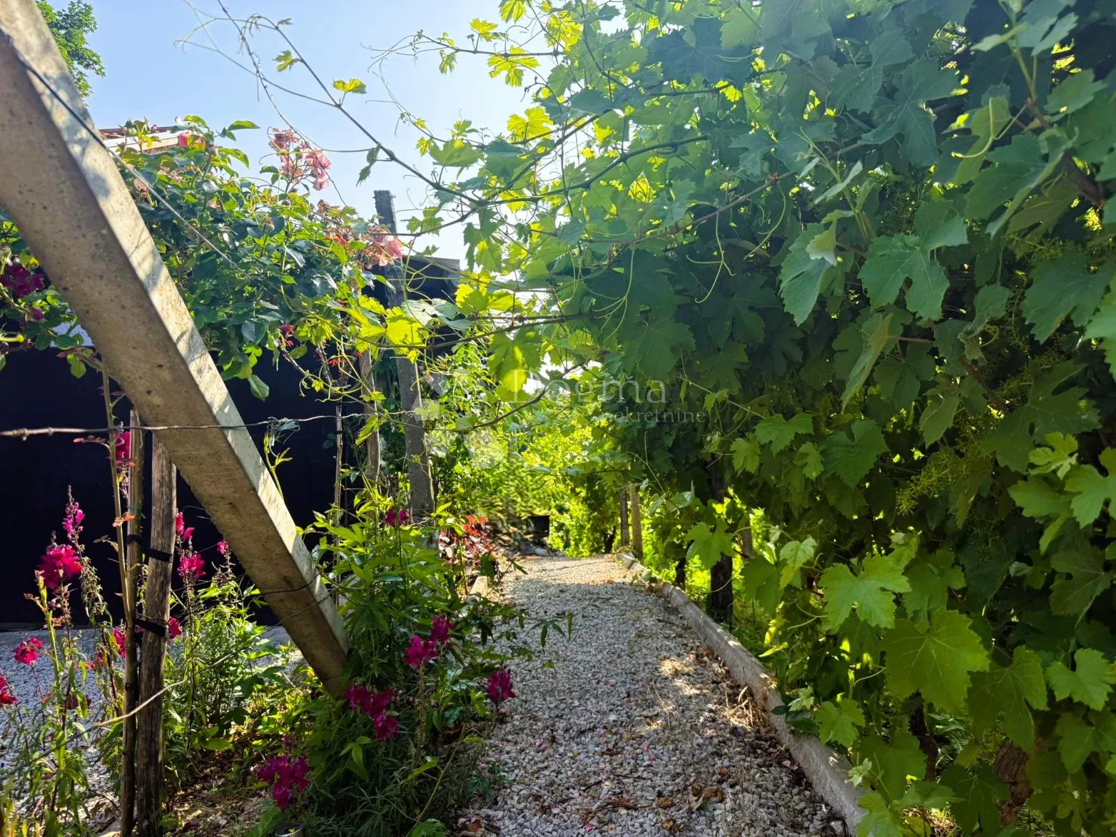 vinogradarska kuća u martinkovcu - slika 17