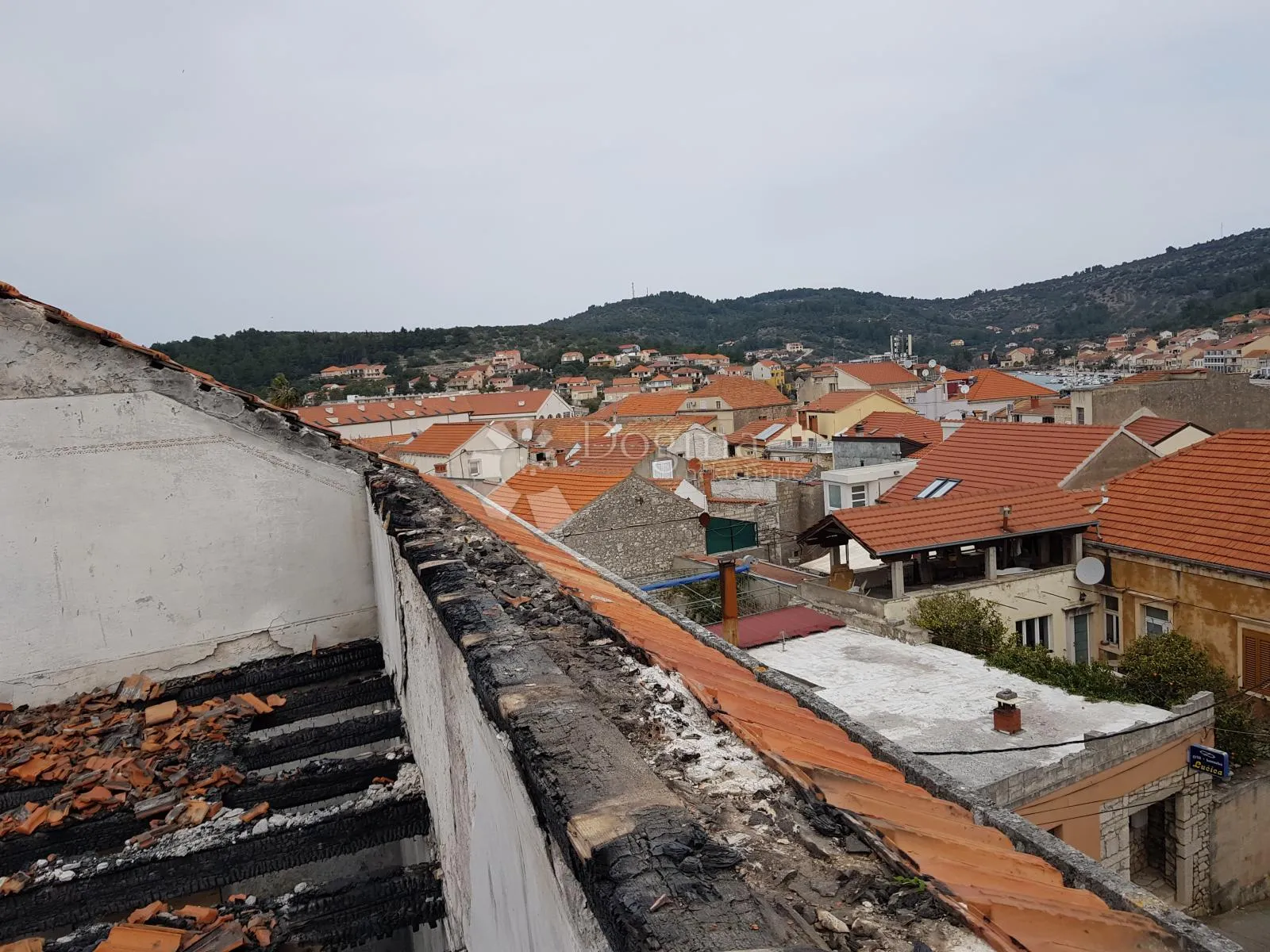 starina na korčuli - slika 12