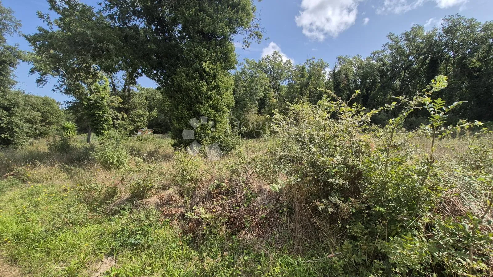 na prodaju je poljoprivredno zemljište površine 520 m2 - slika 5