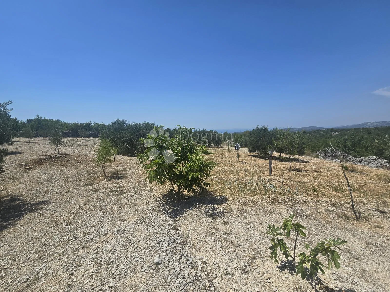 primošten, vadalj - građevinsko zemljište 1256 m² - slika 5