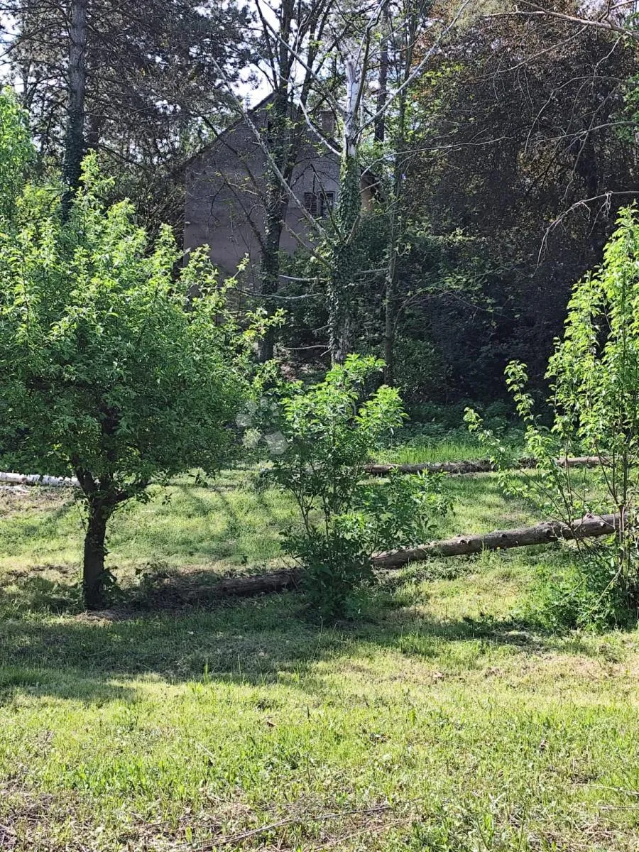 ekološko imanje s ogromnim potencijalom za različite izvore prihoda! - slika 4