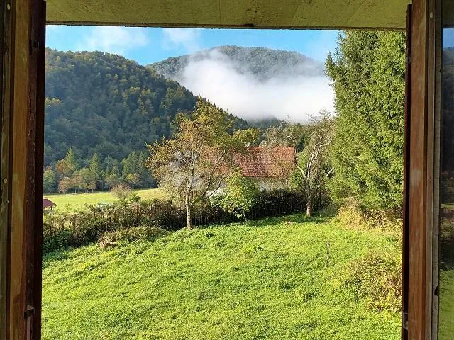velika kuća pored kupe sa 2385 m2 okućnice - slika 3