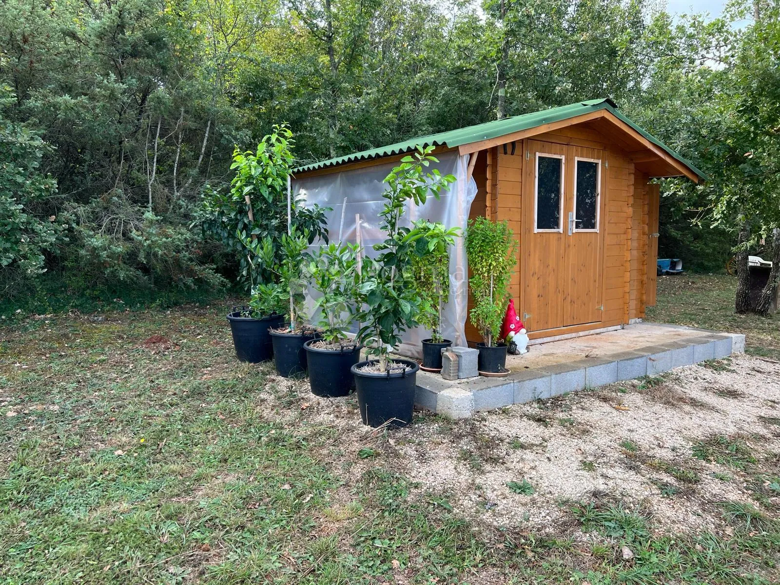 rovinj, prekrasno uređeno zemljište, 6.150m2 - slika 2
