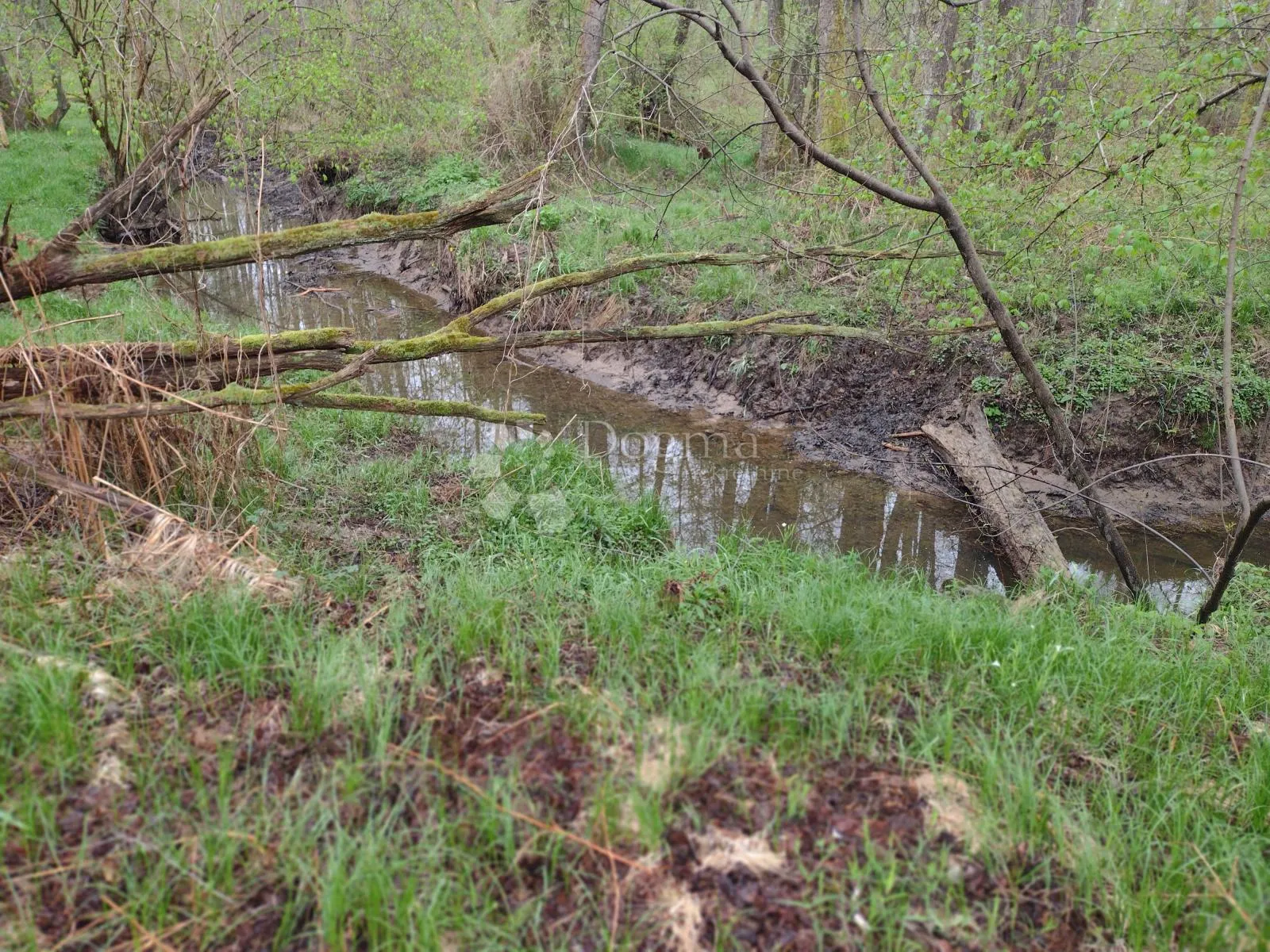 blatuša - 11.2ha - potok, konji !!! - slika 13