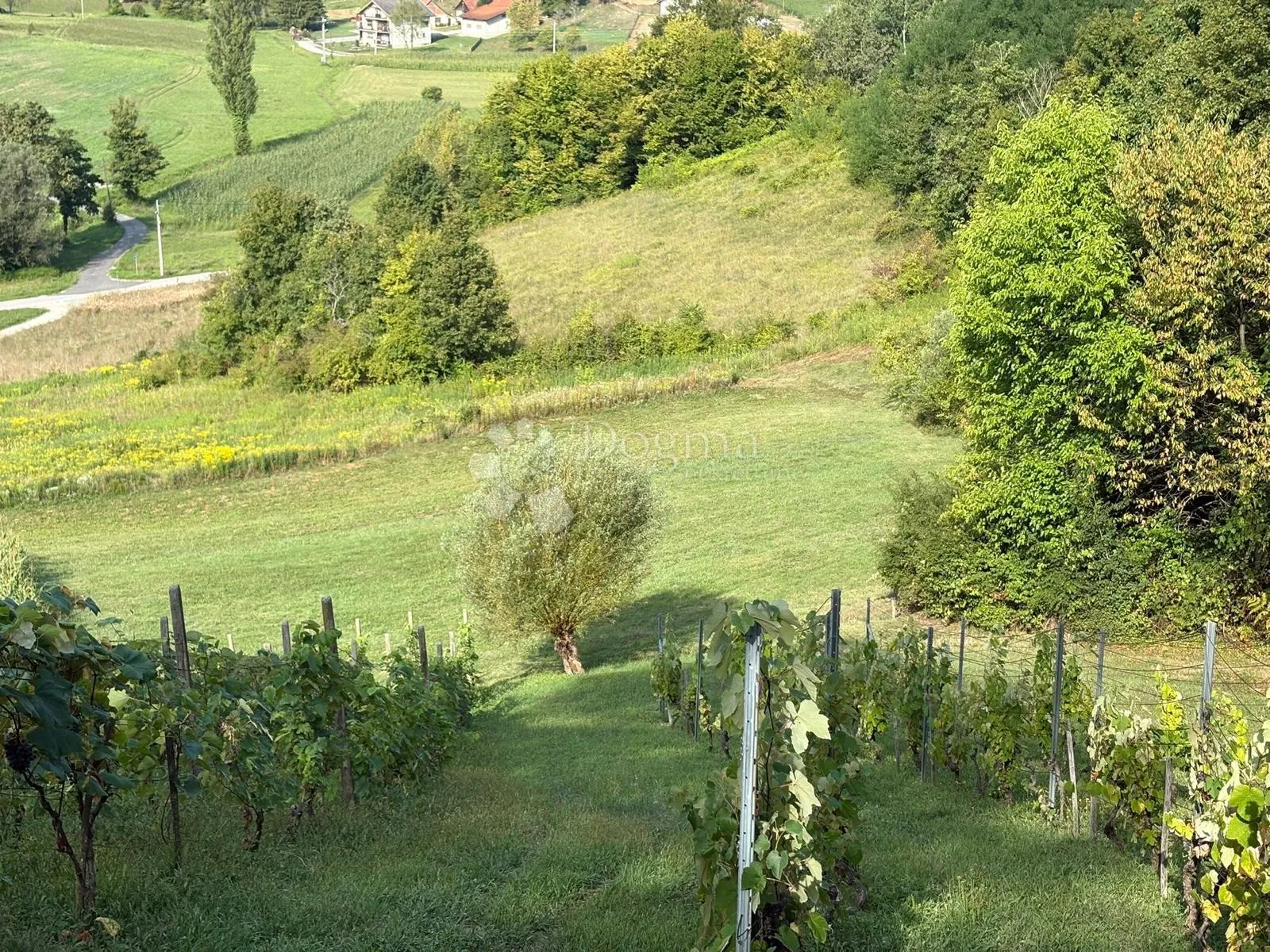 šarmantna vikend kućica s velikom okućnicom, privatnošću i vlastitim izvorima energije i vode - slika 19