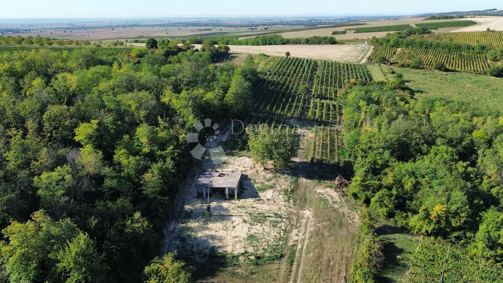 draž - zgrada za ekskluzivnu vinariju s kušaonicom i bazenom - slika 10